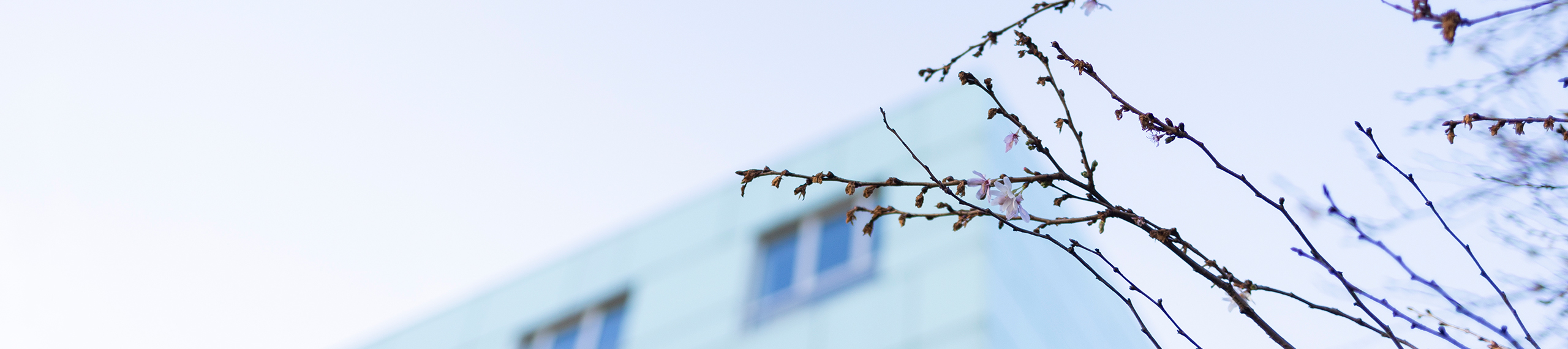 20240223-skossmann-0132