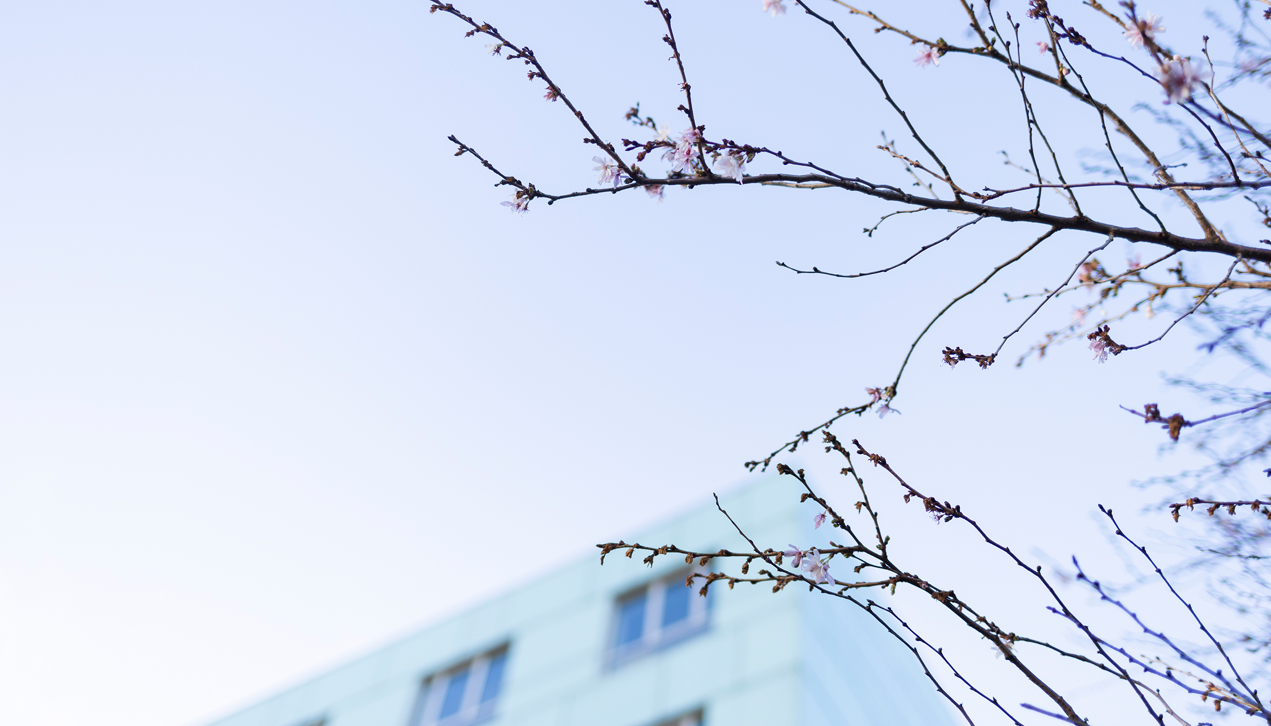 20240223-skossmann-0132_mobil